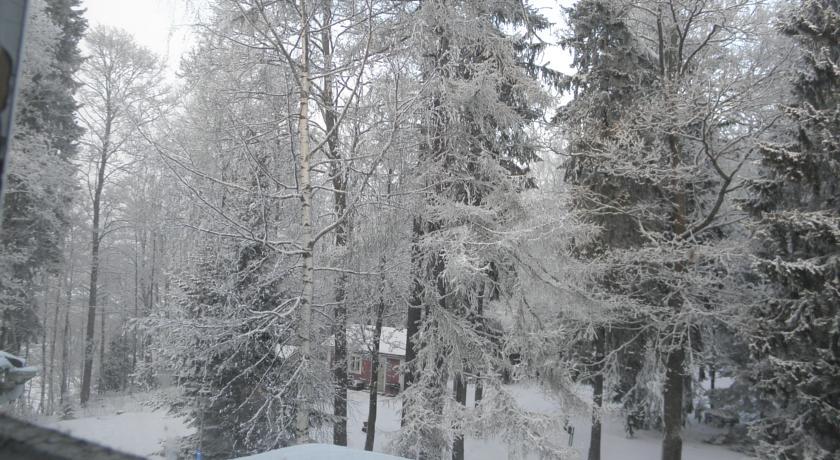 Neitsytniemen Kartano Bed & Breakfast Imatra Oda fotoğraf