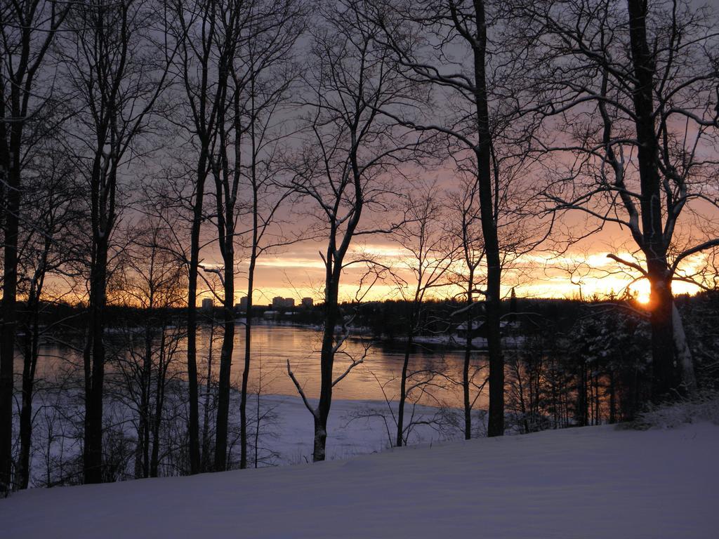 Neitsytniemen Kartano Bed & Breakfast Imatra Dış mekan fotoğraf
