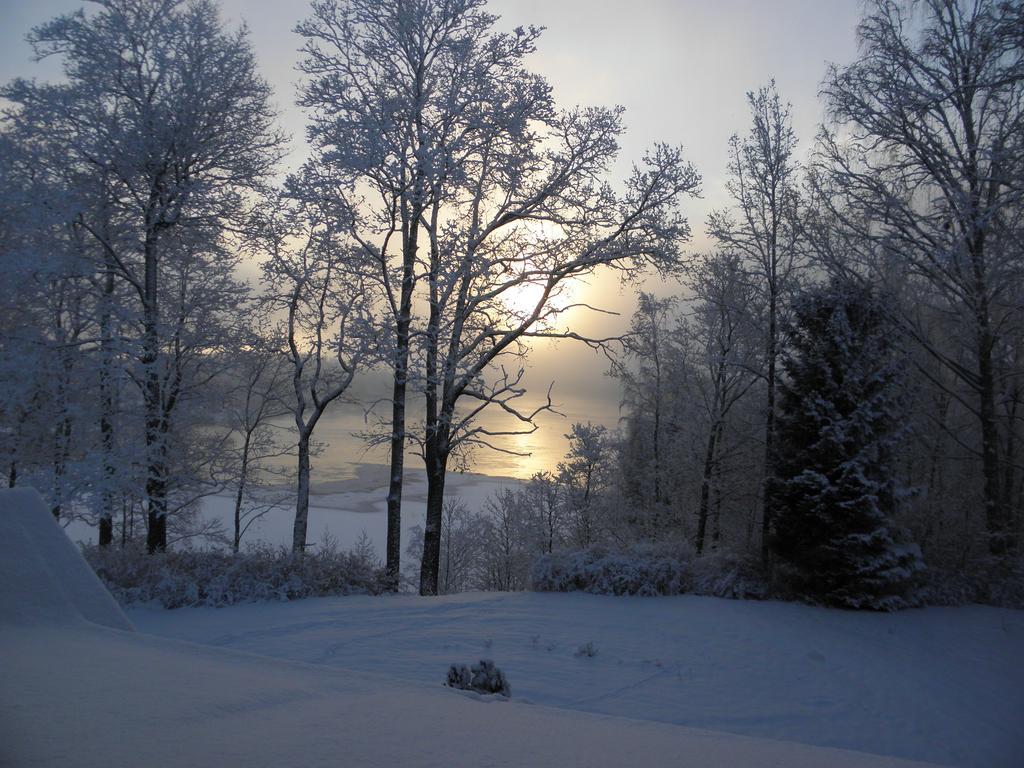 Neitsytniemen Kartano Bed & Breakfast Imatra Dış mekan fotoğraf