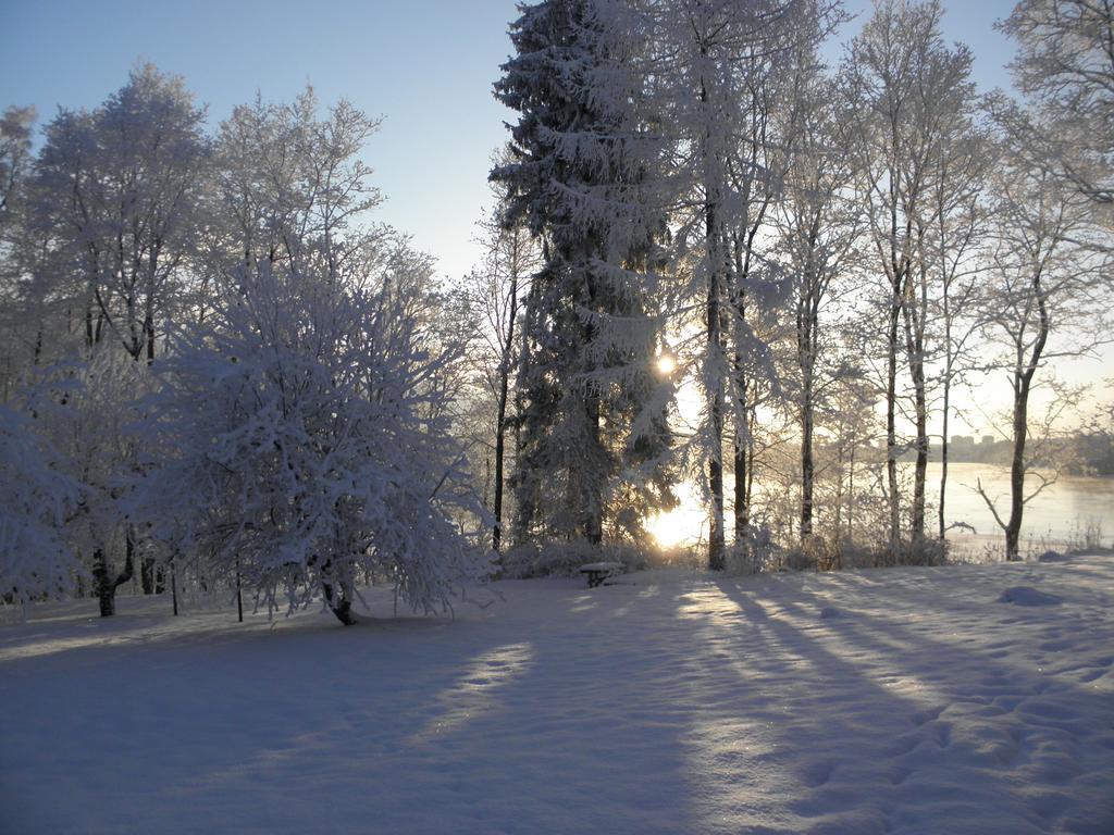 Neitsytniemen Kartano Bed & Breakfast Imatra Dış mekan fotoğraf